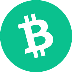 BCH LOGO